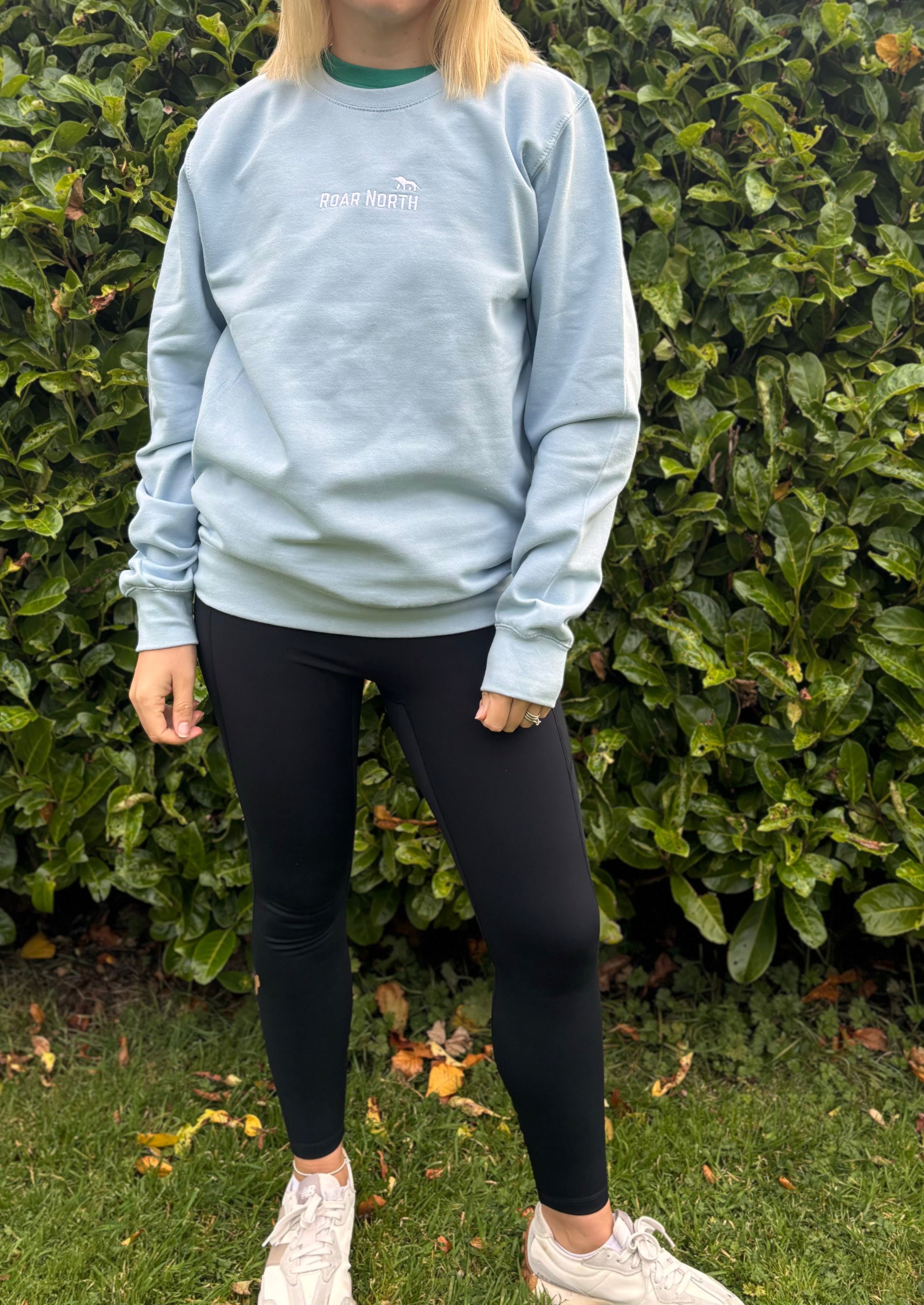 Baby blue unisex embroidered sweatshirt