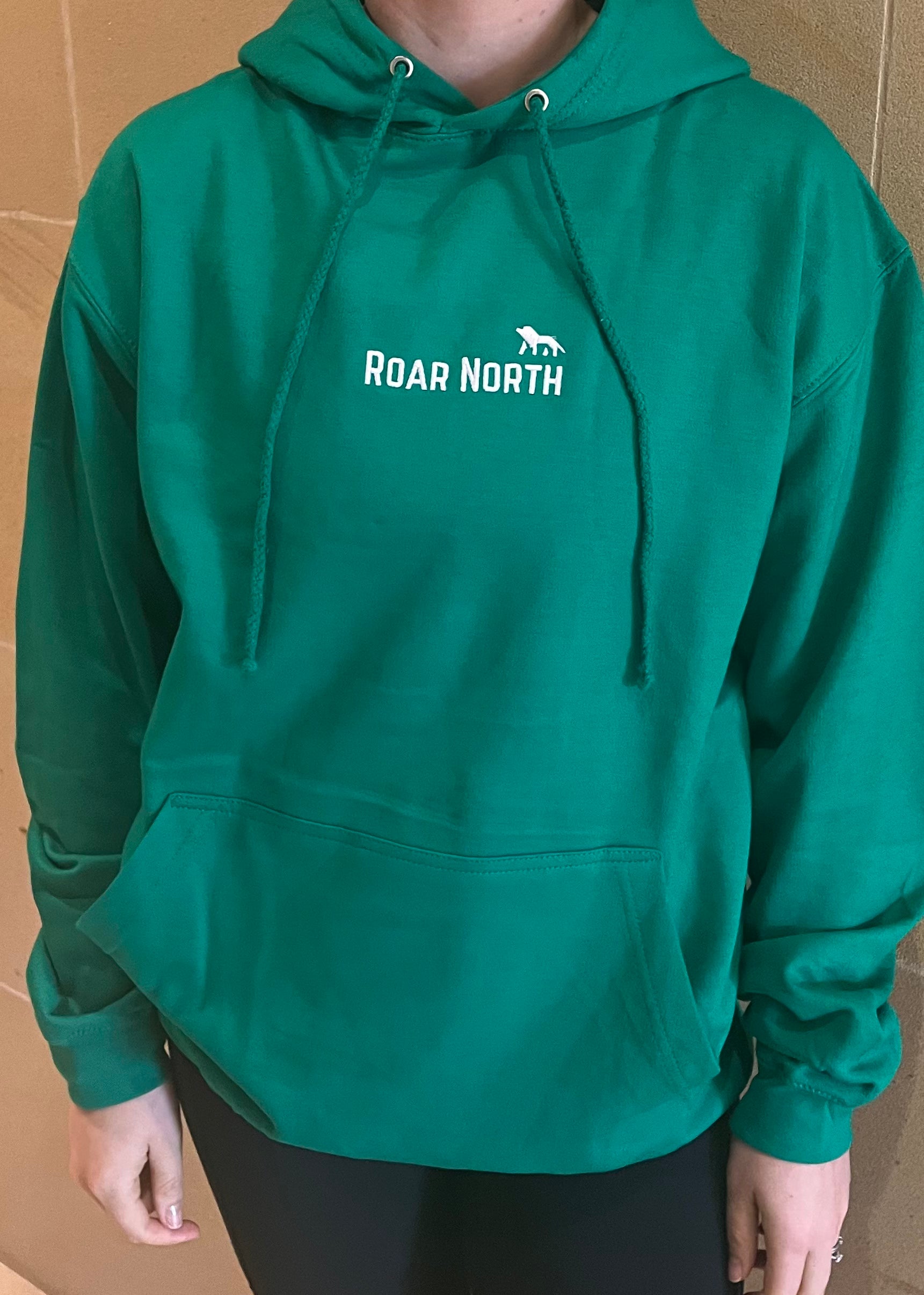 Spring green unisex embroidered hoodie